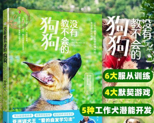 如何训练贵宾犬定点上厕所（从宠物到好伙伴，训练贵宾犬定点上厕所）