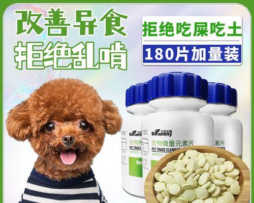 如何为贵宾犬补钙？（全面了解贵宾犬的钙需求及补钙方法）