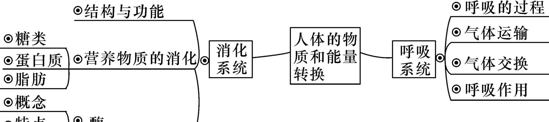 以银狐犬的七大营养成分为主题的宠物饮食指南（营养健康，让爱宠更幸福）