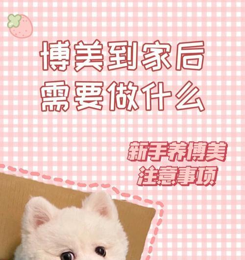 以幼犬管理要注意的五点（如何养好你的小狗）