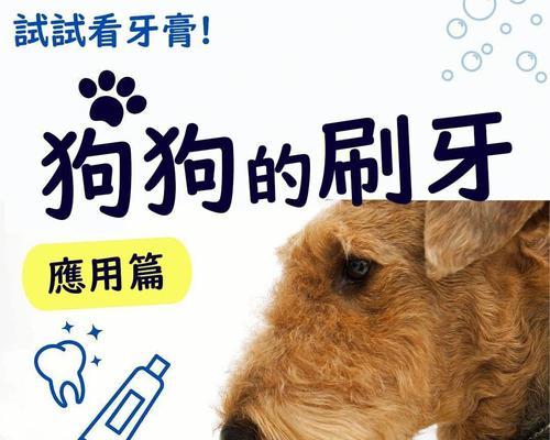 如何合理护理幼犬（让你的宠物狗健康成长）