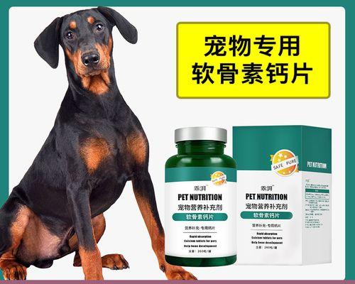 如何关心老龄宠物杜宾犬（15个实用养护技巧，让你的杜宾犬健康长寿）