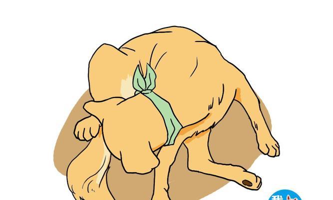 如何清理沙皮犬的肛门腺（保护宠物健康，正确清理肛门腺）