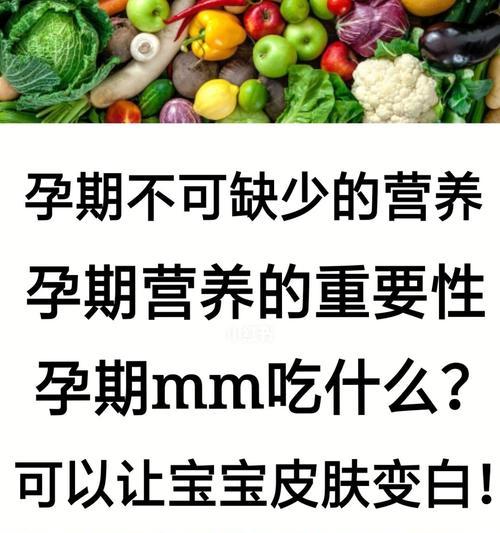 怀孕的京巴应该吃什么？（宠物饮食指南——怀孕期间的营养需求）