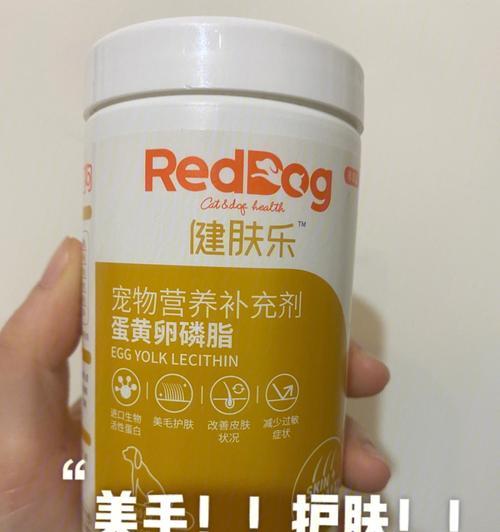 银狐犬毛发太毛躁怎么办？（宠物养护之银狐犬）