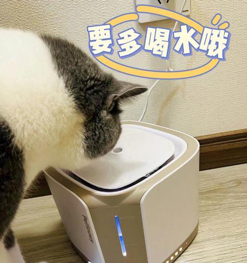 如何让宠物猫咪多喝水?(掌握这些方法,让猫咪爱上喝水)