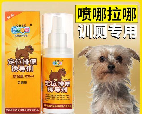 约克夏定点排便训练小技巧（让你的爱犬健康有规律的排便）