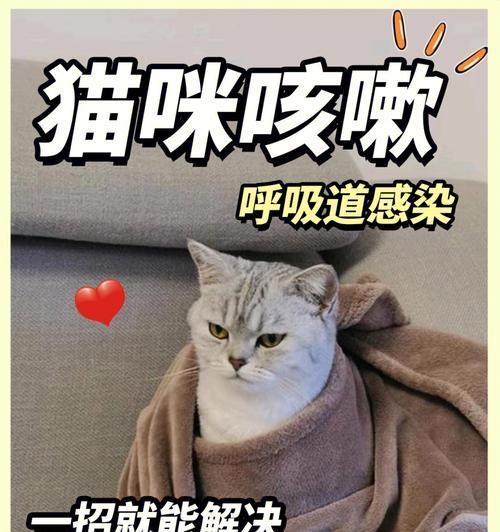 小猫咳嗽呕吐究竟是怎么回事？（宠物猫咳嗽呕吐症状、原因及治疗方法详解）