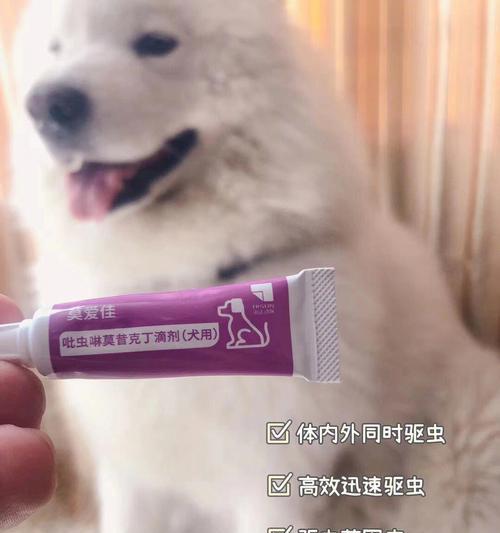 狗狗的驱虫药使用指南（如何让宠物狗狗安全、有效地使用驱虫药）