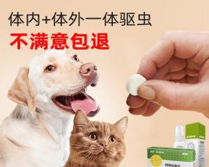 猫咪对狗狗驱虫药中毒症状全解析（了解宠物中毒前的症状和应对方法）