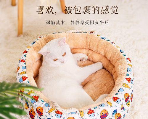 自制猫咪产房，让宠物安心生育（以猫咪自制小床，为宠物打造舒适生育环境）