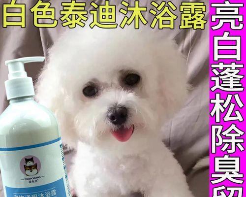 如何选择适合贵宾犬的洗澡用品？（从品牌、种类到成分，全面解读如何为贵宾犬选择适宜的洗澡用品）