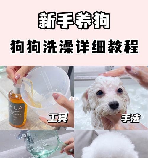 如何正确给宠物狗狗洗澡？（重要注意事项和洗澡流程，让你的狗狗健康幸福。）