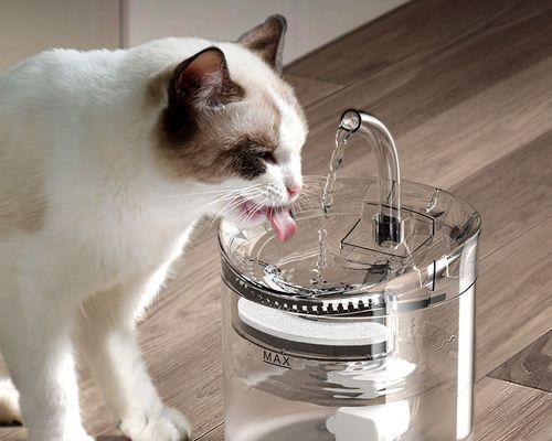 猫咪喝水的必要性与方法（如何让你的宠物猫咪足够地饮水）