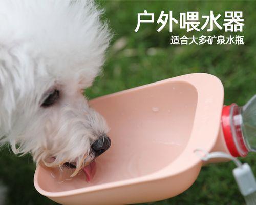 如何为20天的小狗正确喂水（从母乳到逐渐添加水，打造健康小狗）