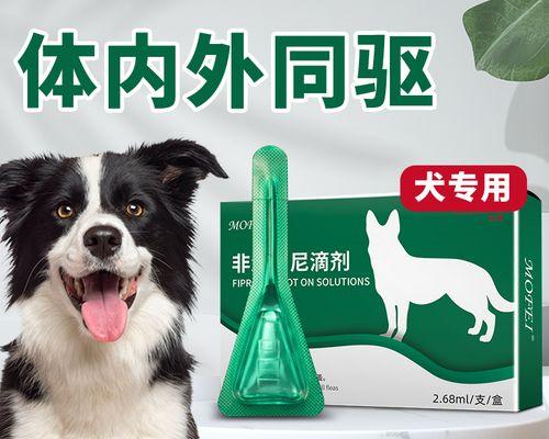 狗狗怀孕期间可以驱虫吗（宠物健康必须知道的驱虫知识）