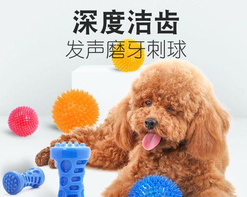 狗生完小狗下体发臭该如何处理（宠物狗产后护理必知）