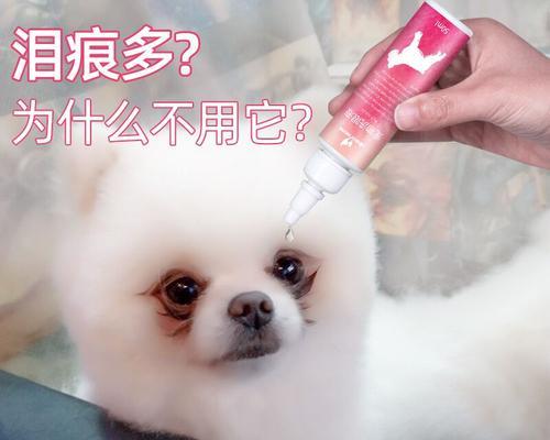 猫咪眼睛护理必备——眼药水(宠物健康不可忽视)