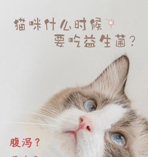 如何给宠物猫咪长期补充益生菌（探究猫咪益生菌的吃法与时间）