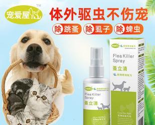 猫咪清水洗能否洗掉跳蚤（以宠物为主）