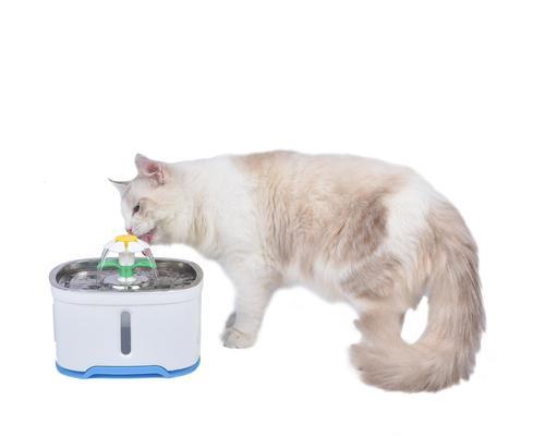 猫咪自动饮水机的重要性（为什么猫咪需要充足的饮水量）