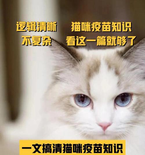 小猫打完疫苗的必要性（爱宠护犬需从“疫”开始）