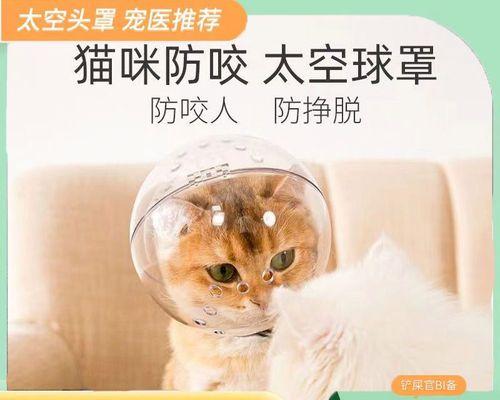 宠物猫自己上厕所的时间（小猫自己上厕所需要多久）