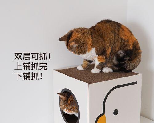 小猫躲沙发底下的生活（以宠物为主的小猫日常）