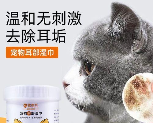 小猫耳朵为什么那么脏（探究宠物猫耳朵的清洁问题）