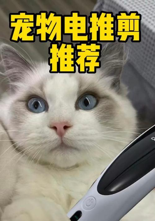 宠物猫因剃毛而死，警醒人们对宠物理发的重视（探究剃毛导致宠物死亡的原因和预防措施）