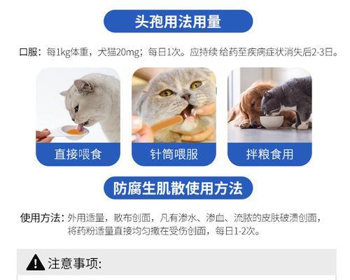 猫咪外用消炎药，如何安全使用（宠物的健康需要我们的关注）
