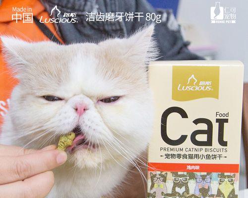 猫咪去毛球攻略（以宠物为主）