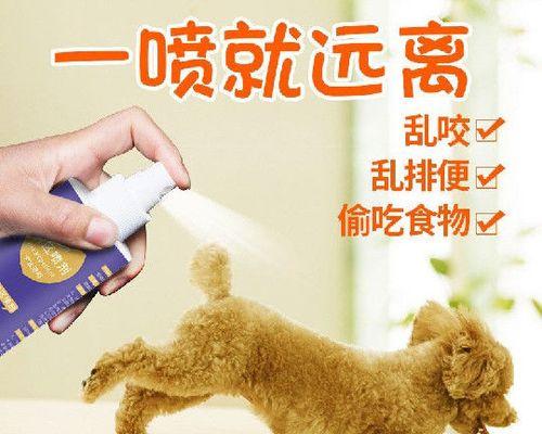 如何清理小猫的乱拉屎(宠物主人必知)