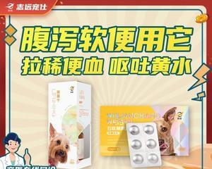如何给宠物狗狗正确服用胃药(用药技巧分享)