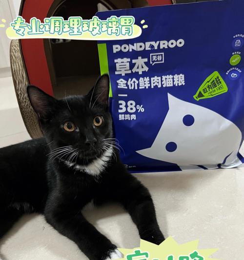 探究猫咪软便原因（揭秘猫咪软便的病因与治疗方法）