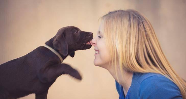 小狗喜欢舔东西的原因及如何管理（探究宠物狗为什么喜欢舔东西）