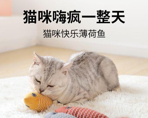 小猫被大猫咬破，宠物饲主必须知道的事情（如何应对宠物咬伤的情况及预防措施）