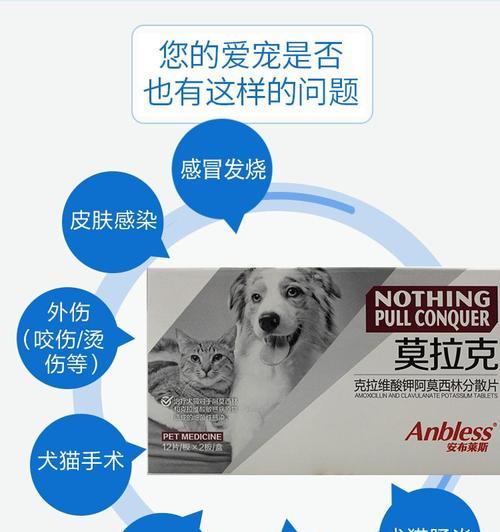 小猫吃啊莫西林的经历（宠物生病需谨慎用药）