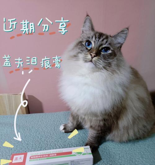 小猫拉稀营养膏，宠物健康的必备品（如何选择适合的小猫拉稀营养膏）