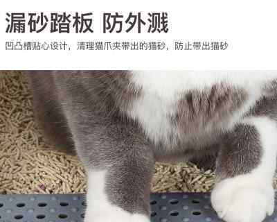 小猫猫砂盆太高怎么办（宠物的健康福祉从细节开始）