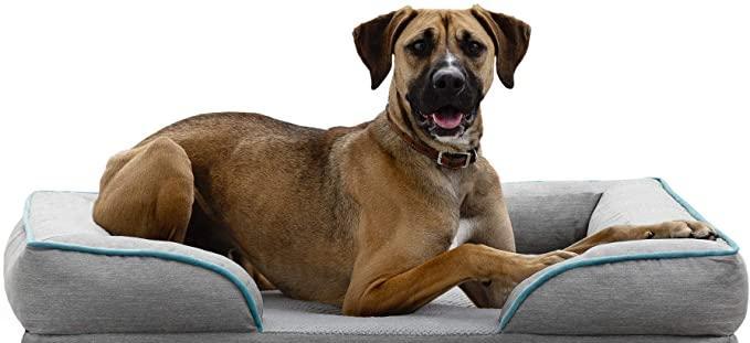 狗狗为什么会舔垫子（探究狗狗舔垫子的原因和意义）