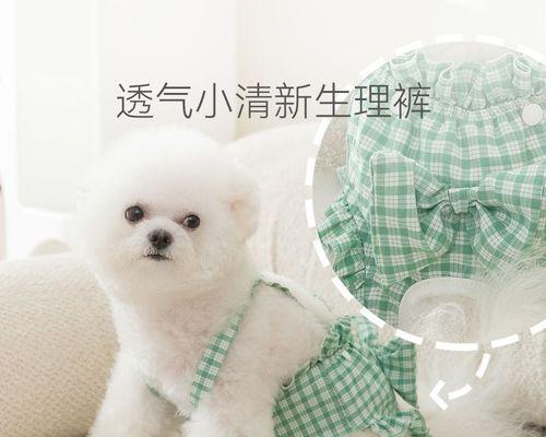 狗狗月经引发呕吐(宠物主人必读)