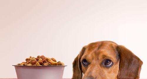 狗粮过期还能吃吗？——以宠物为主的食品保鲜问题