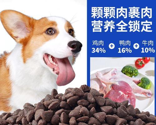 哈士奇宝宝的食谱（以幼犬狗粮为主的营养餐）