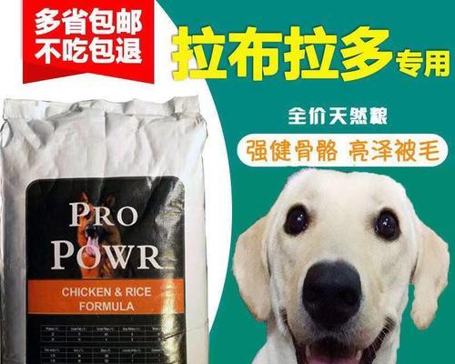 金毛犬是否需要补钙（掌握正确喂养方式）