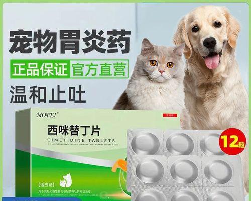 宠物猫肠胃炎消炎药使用指南（选择正确的药物）