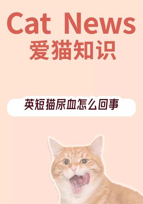 猫导尿后尿血可能的原因及治疗方法（从宠物角度看待猫导尿后尿血问题）