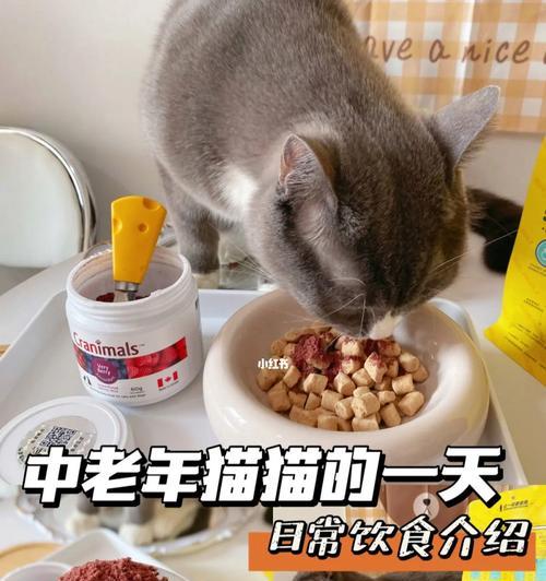 宠物猫对食物吃不停怎么办（解决猫咪的饮食问题）