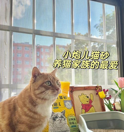 猫妈教小猫用猫砂的秘诀（宠物教育中的必备技能）