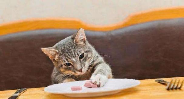 如何解决宠物猫不爱吃猫粮的问题（让您的猫猫健康饮食的技巧和小贴士）